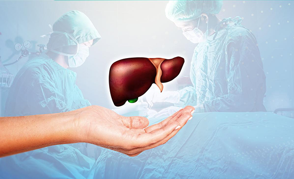 organ transplant عملية زراعة الكبد في البحرين